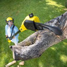 Goldstream, AK Tree Care Company