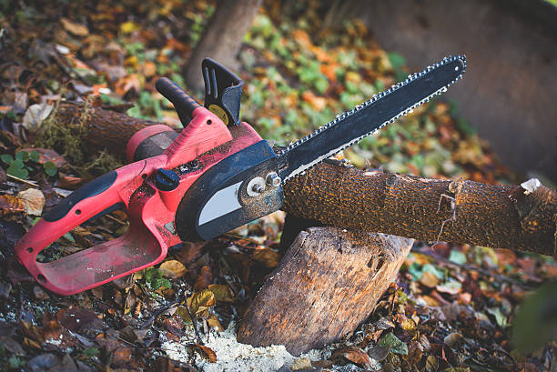 Best Leaf Removal  in Goldstream, AK